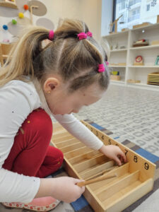 montessori brasov